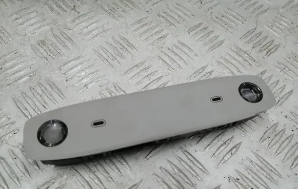 Tesla Model 3 Front seat light P109257400C 202144302121300