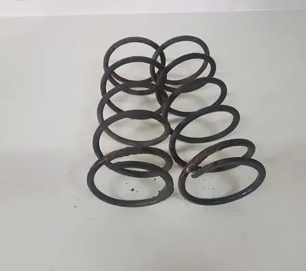 Mitsubishi Pajero Sport I Rear coil spring