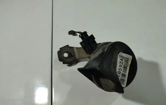 Horn signal
