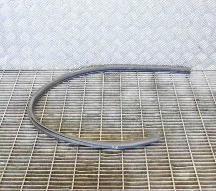 BMW 2 F22 F23 Rubber seal front door (on door) 7267928