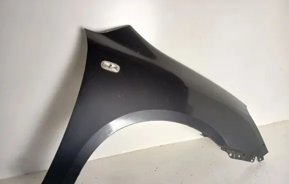 KIA Carens II Fender