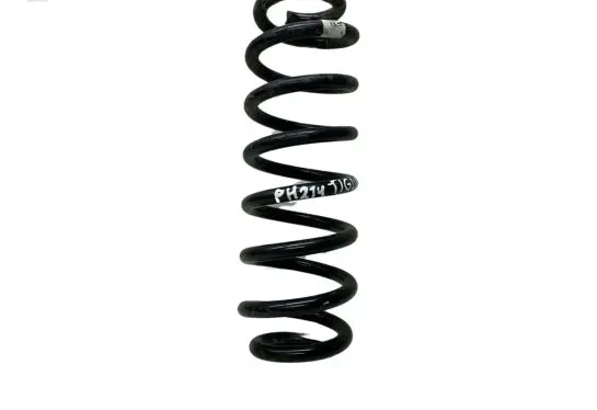Volkswagen Tiguan Rear coil spring 5QF511115