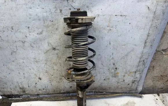 Volkswagen Golf V Front shock absorber/damper 1K0413031