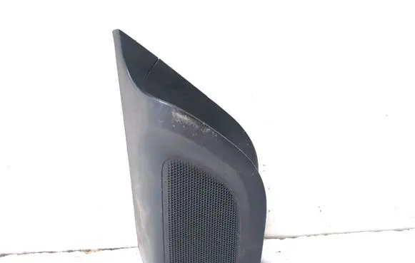 Front door speaker