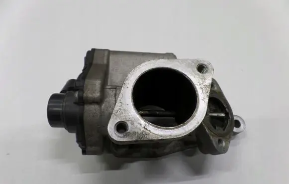 Suzuki Grand Vitara II EGR valve 8200194323