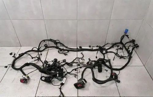 Aston Martin DB11 Front door wiring loom/harness boot FD4314290BD