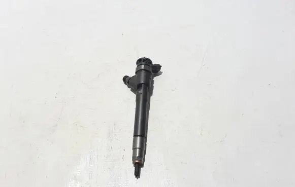 Renault Trafic III (X82) Fuel injector 0445110546