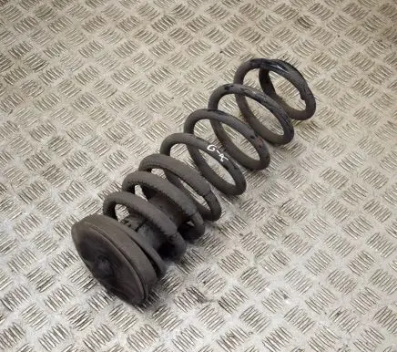 Rear coil spring