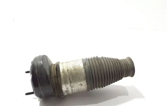 Mercedes-Benz GLE W167 Front shock absorber/damper A1673207204