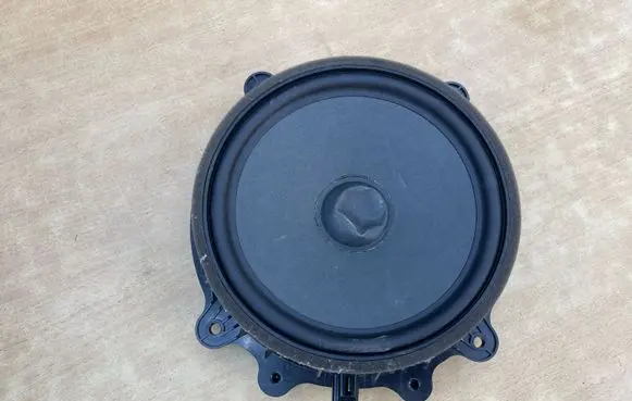 Tesla Model 3 Front door speaker 107974400E