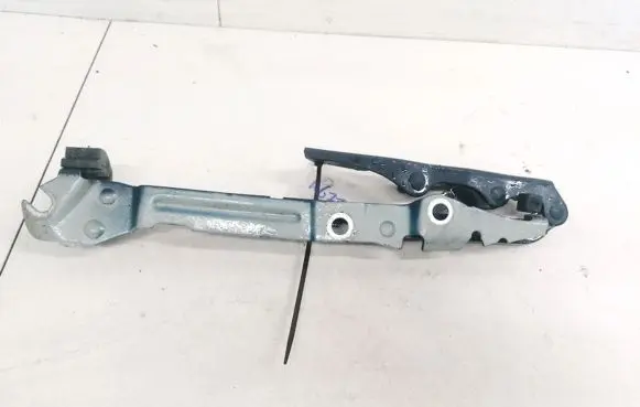 Tailgate/trunk/boot hinge