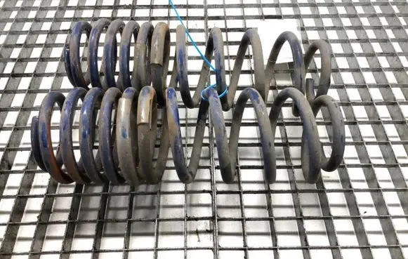 Ford Mustang V Rear coil spring 