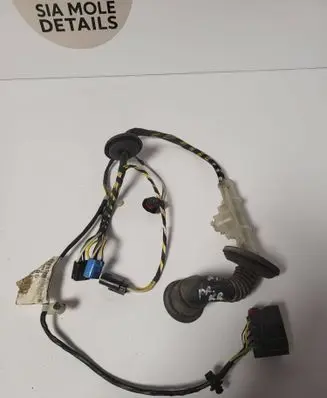 Front door wiring loom