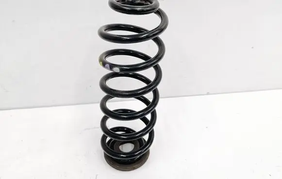 Volkswagen Tiguan Rear coil spring