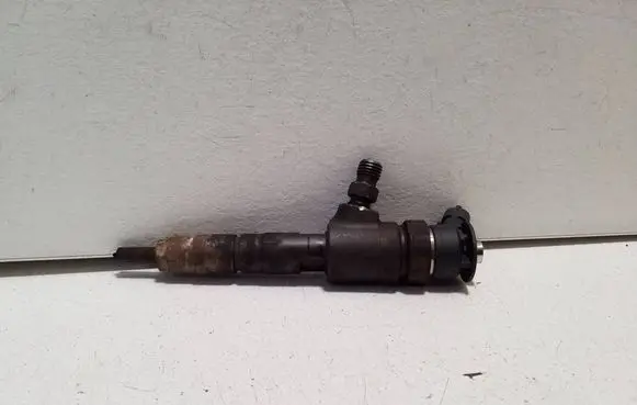 Peugeot Expert Fuel injector 0445110566 027766