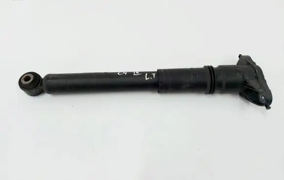 Citroen C4 III e-C4 Rear shock absorber/damper 9841379480