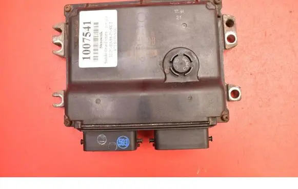 Suzuki Grand Vitara II Engine control unit/module ECU 33921-65J10