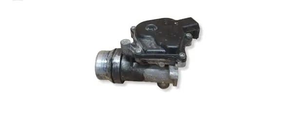 Nissan Qashqai Throttle valve 161A09794R