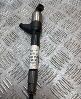 Opel Insignia A Fuel injector 55570012