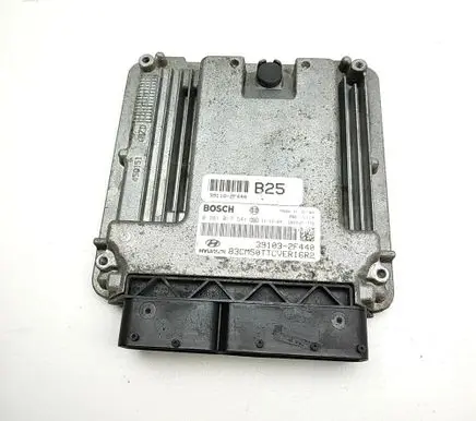 Hyundai Santa Fe Engine control unit/module 391032F440 0281017541