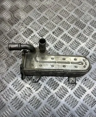 Volkswagen PASSAT B6 EGR valve cooler 038131513