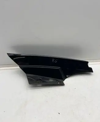 Rear/tail light trim molding