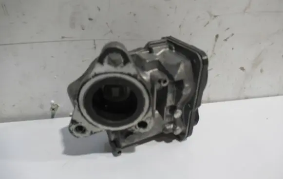 EGR valve