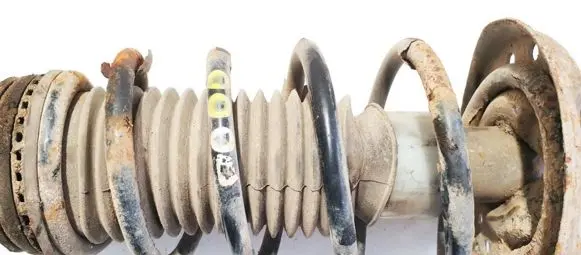Fiat Punto (188) Front coil spring
