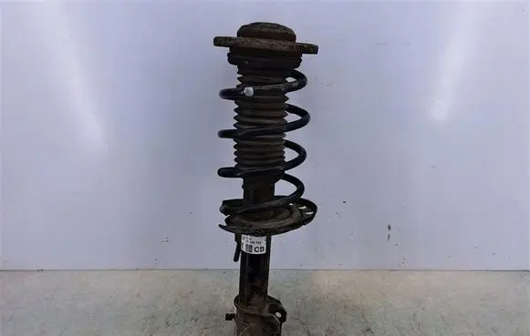 Opel Vectra C Front shock absorber with coil spring 13118703