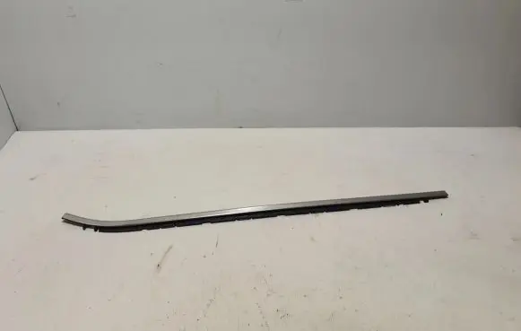 Renault Captur II Rear door trim (molding) 828207106R