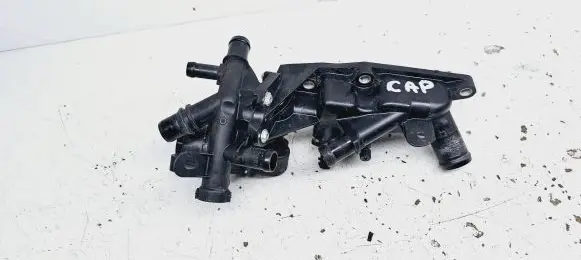 Thermostat/thermostat housing