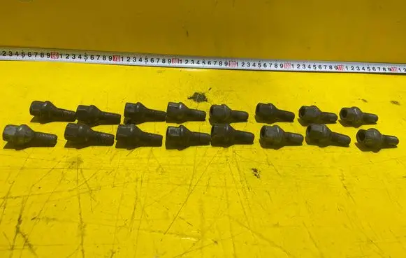 Renault Clio III Nuts/bolts 