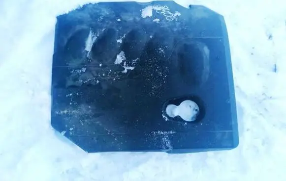 Volvo V50 Engine cover (trim)