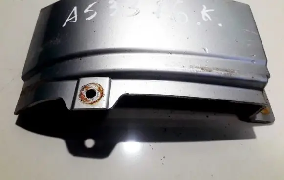 Rear/tail light trim molding