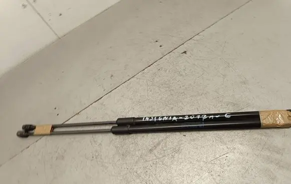 Opel Insignia B Tailgate/trunk strut/damper