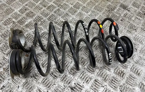 Rear coil spring