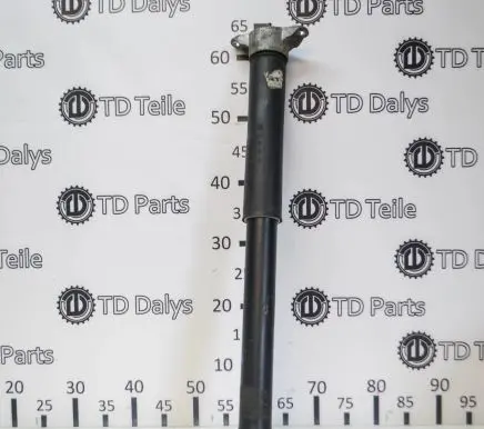 Ford Kuga II Rear shock absorber/damper