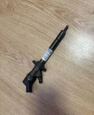 Citroen C5 Fuel injector 0445110036 9637277980