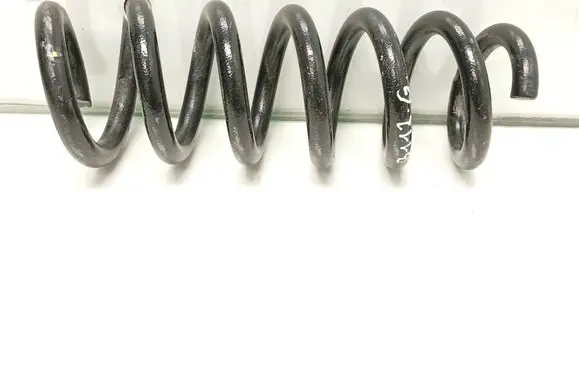 Rear coil spring