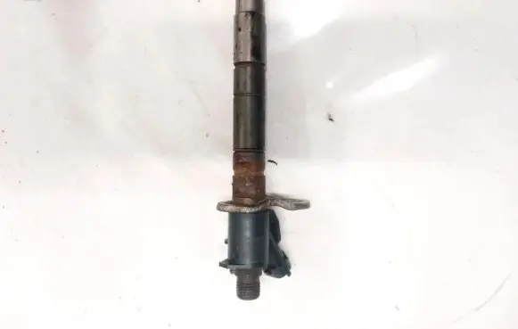 Volvo C30 Fuel injector 313032382341 110906