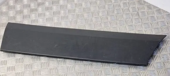 Mercedes-Benz Sprinter W906 Front door trim (molding) A9066900500 12533998