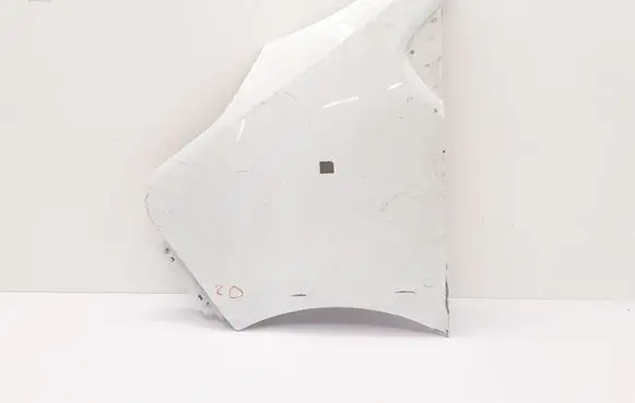 Renault Trafic III (X82) Fender 631016242R