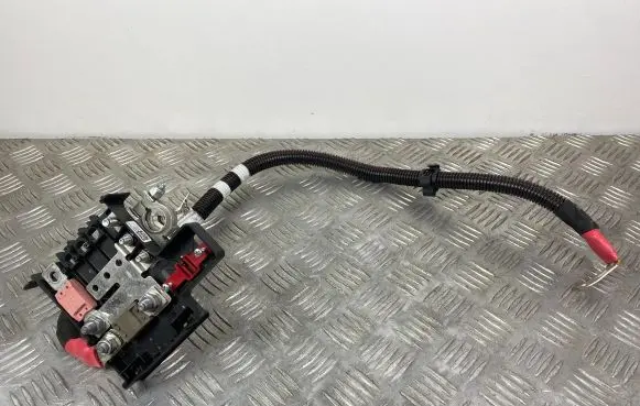 Jeep Compass Positive cable (battery) 52185689