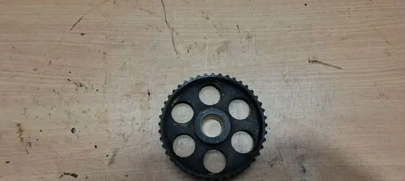 Volkswagen Transporter - Caravelle T4 Camshaft pulley/ VANOS 069109111