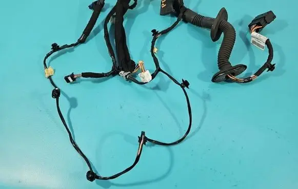 Front door wiring loom