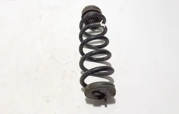 Rear coil spring