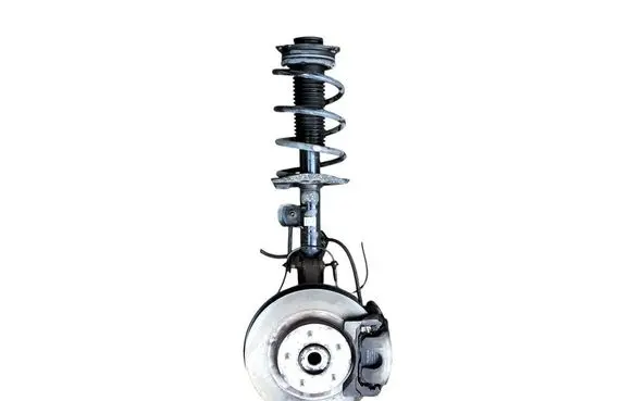 Nissan Juke I F15 Front shock absorber/damper brak