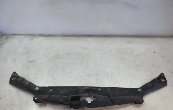 Engine bonnet/hood lock trim molding