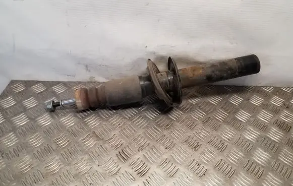 Front shock absorber/damper