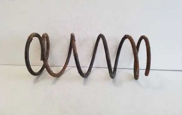Rear coil spring